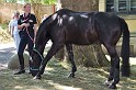 Polizeidirektion   115